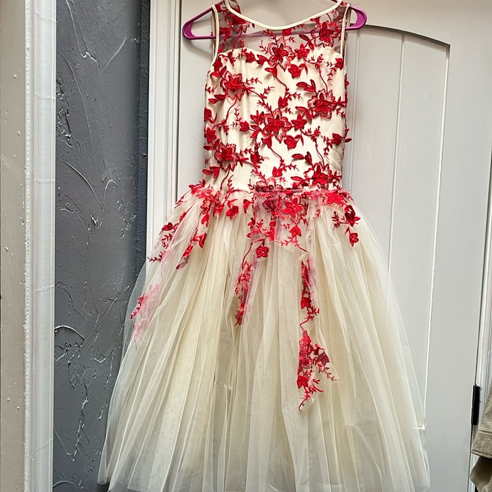 Dance competition costume